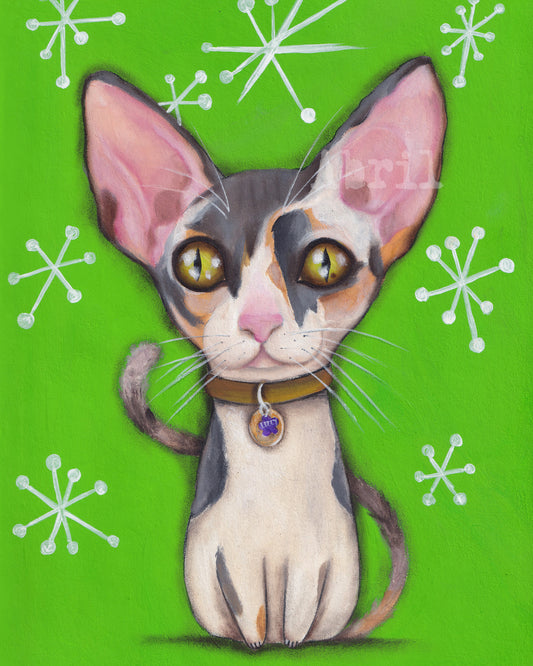 Kitty Cat - 8x10" Signed Print